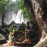 Jason Howarth - @howarth5455 - Instagram