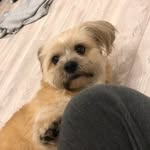 Jason Hübner - @jasonhdog - Instagram
