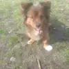 jason.hübner - @jason.huebner - TikTok