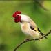Jason Hulse - Facebook