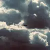 Jason Humbert - @jasonhumbert6 - TikTok