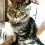 jase - @jasonicely - Instagram