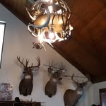 Jason Ingels - @jason.ingels.39 - Instagram