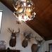 Jason Ingels - Facebook
