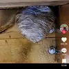 jason jared - @jason.jared - TikTok