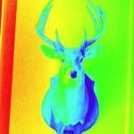 Jason Jeffcoat - @jasonjeffcoat - Instagram