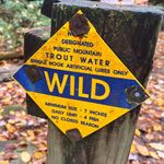 Jason Jefferies - @wnc_flyfishing - Instagram