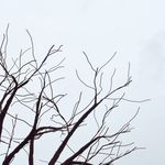 JasonJosiah - @jasonjosiah_iii - Instagram