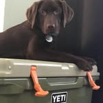 Jason Kalinowski - @jason.kalinowski - Instagram