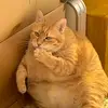 Jason Kao - @a120971896 - TikTok