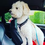 Jason Kavanagh - @jasonkavanagh82 - Instagram