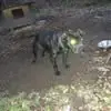 Jason Keaton - @jason.keaton0 - TikTok