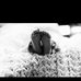 Jason Keech - Facebook