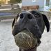 Jason Keeney - Facebook