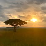 Jason Kellum - @traveling__farmer - Instagram