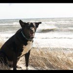 Jason Keyes - @chowder631 - Instagram