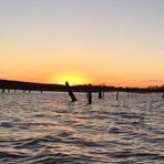 Jason Keyes - Facebook