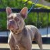 Jason Kiger - Facebook