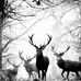 Jason Kirkham - Facebook