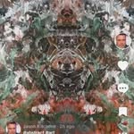 Jason Kitchens - @jasonkitchens929 - Instagram