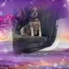 Jason Kitchens - @jason.kitchens5 - TikTok