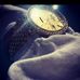 Jason Knaak - Facebook
