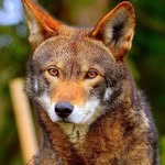 Jason Knapik - @jasonkn2004 - Instagram
