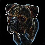 Jason Knott - @petsentiments - Instagram