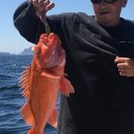 Jason Knott - @jasonknott_fishing - Instagram
