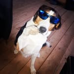 jason - @jason.koda - Instagram