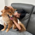 Jason Kong - @jaykaythegay - Instagram