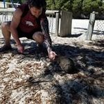 Jason Koval - @jason.koval.37 - Instagram