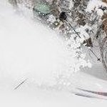 Jason Kushner - @jason.kushner.754 - Instagram