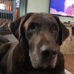 Jay Labonte - @labonte_jason - Instagram