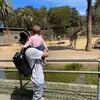 jason landes - @jason.landes - TikTok
