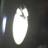 jason_landes - @jason_landes - TikTok