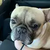 jasonpadula - @jason.padula - TikTok