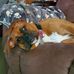 Jason Laroche - Facebook