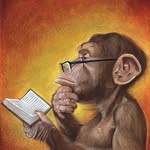 Jason Lawton - @reading_monkey_reports - Instagram