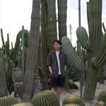 Jason Ip - @jasonleaf - Instagram