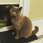 JASON - @jason_rose_leaf - Instagram