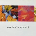 Jason Leaf - @leafland.propertydevelopments - Instagram
