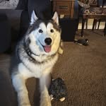 Jason LeClair - @leclair8787 - Instagram