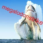 Jason Leclerc - @megalodon.strike - Instagram