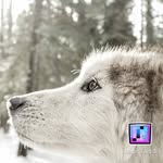 Jason Ledoux - @isaturc98 - Instagram