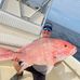 Jason Lefler - Facebook