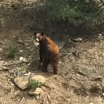 Jason Lefler - @jason_lefler1 - Instagram