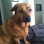 Jason Lehr - @lucy_thequeen - Instagram