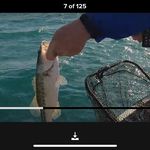 Jason Leib - @undamgedimp - Instagram