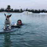 Jason Levi - @jasonlevi - Instagram